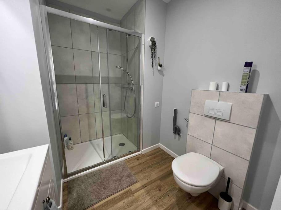 Appartement Climatise / Centre-Ville / 4 Personnes เบอซองซง ภายนอก รูปภาพ
