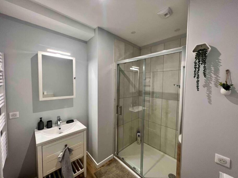 Appartement Climatise / Centre-Ville / 4 Personnes เบอซองซง ภายนอก รูปภาพ